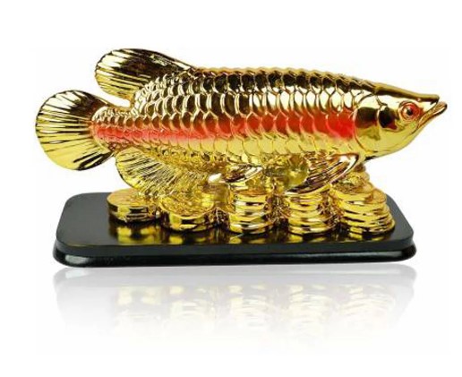 Feng Shui Fish with Coins for Career Luck and Education Luck